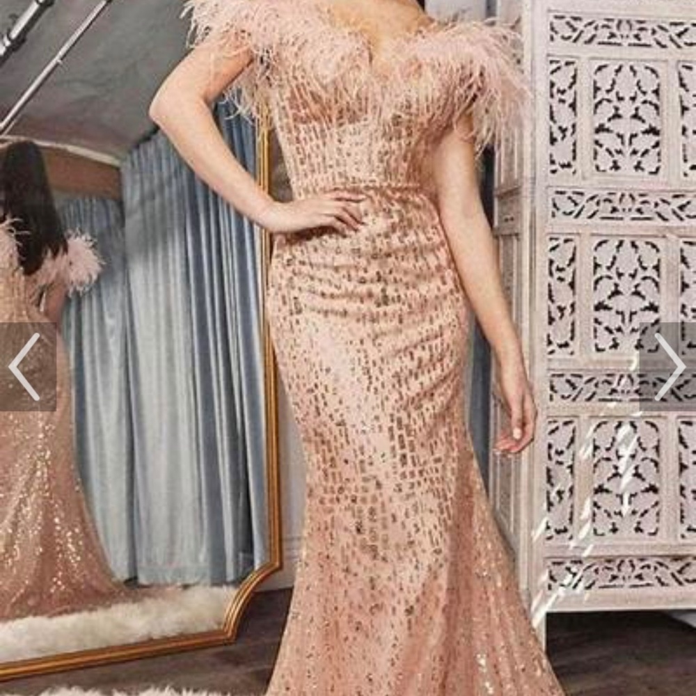 Cinderella Gown Dress - Picture 5 of 5